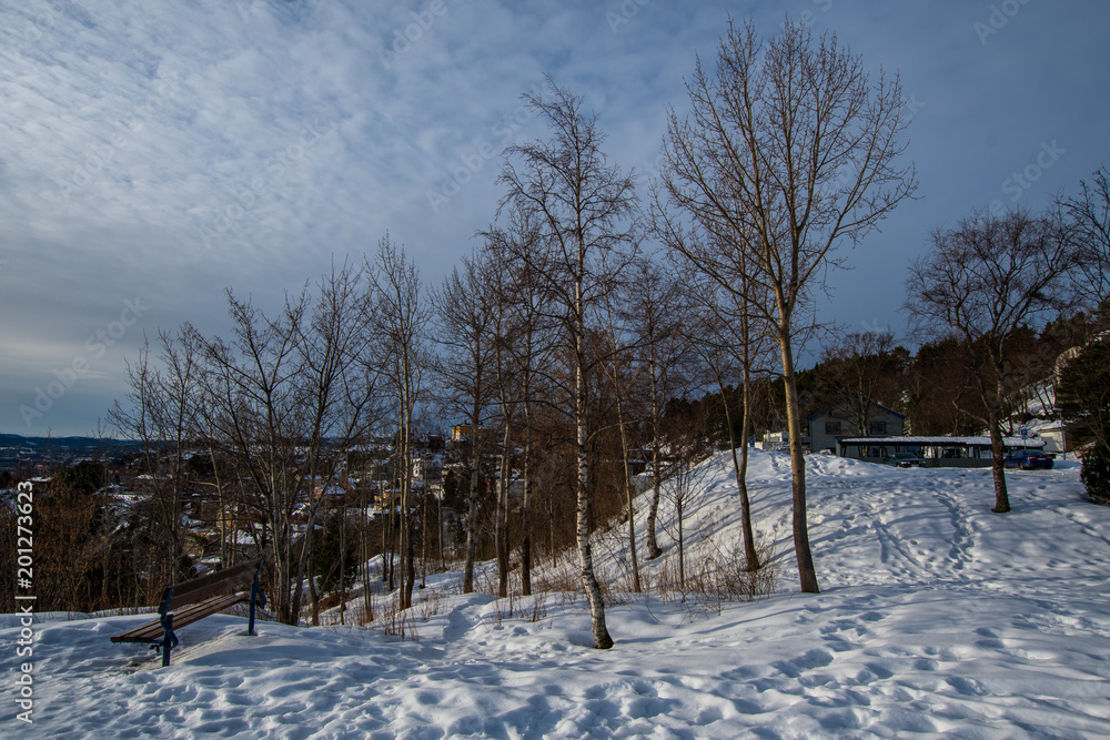 Northern Europe Norway Trondheim Landscape 北欧 ノルウェー トロンハイム 風景 Northern Europe Norway Trondheim Landscape 北欧 ノルウェー トロンハイム 風景