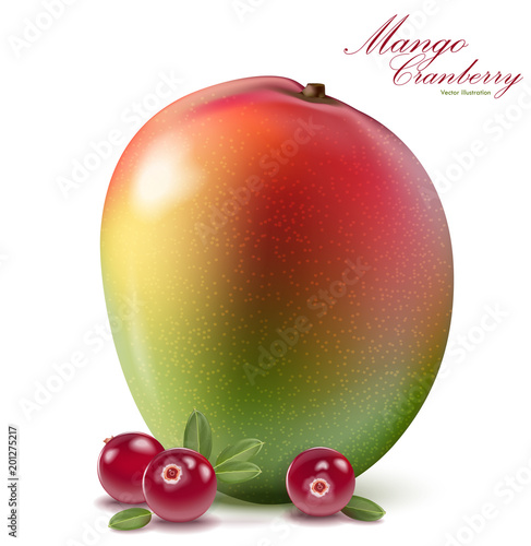 Fresh mango and cranberry design elements isolated on white background. Berries set with leaves. Mango fruit for fresh juice for packaging or web design