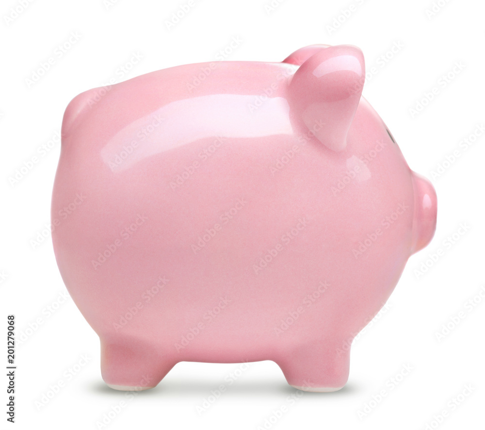 profille view of pink piggy bank