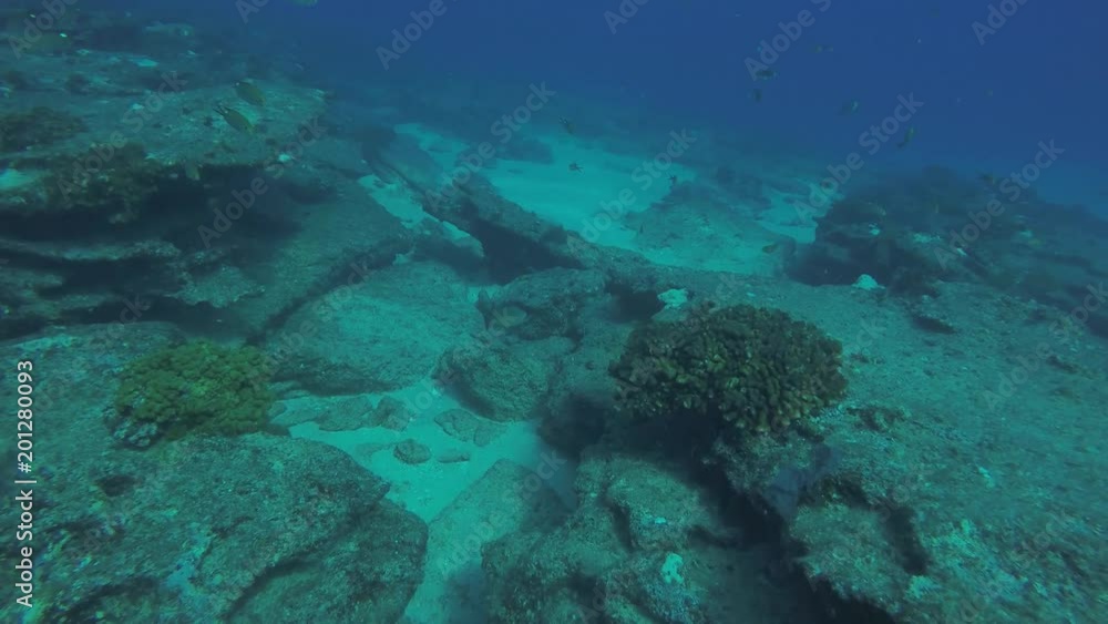 Coral reef scenics of the Sea of Cortez, Baja California Sur, Mexico. Coral reef scenics of the Sea of Cortez, Baja California Sur, Mexico.