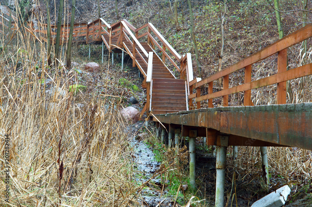 Wooden stairs to the street. The staircase of wood leading to the pond. Wooden stairs to the street. The staircase of wood leading to the pond.