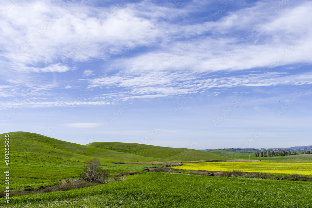 Fototapeta premium hill landscape at spring with sky and meadow