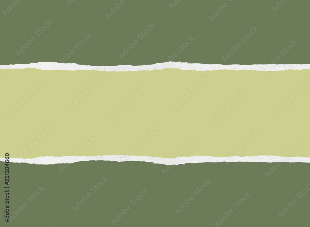 Ripped green wrapping paper Ripped green wrapping paper