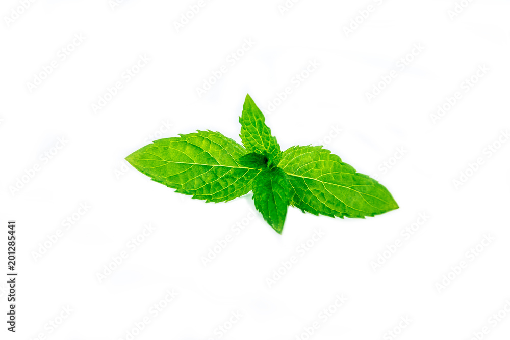 Fototapeta premium mint leaves isolated on white background