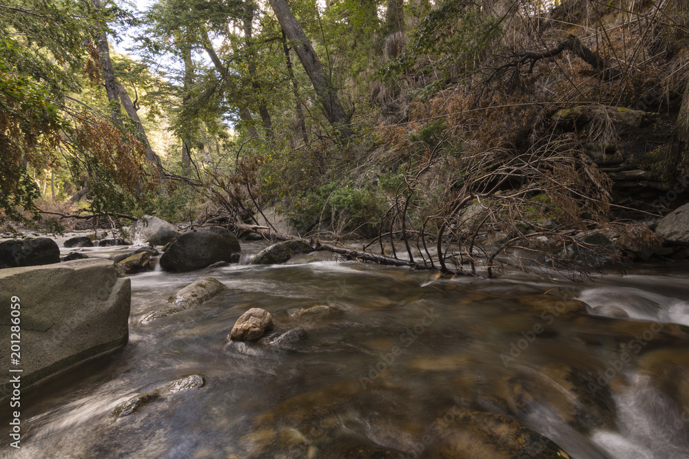 Long exposure river in Los Alerces National Park Long exposure river in Los Alerces National Park