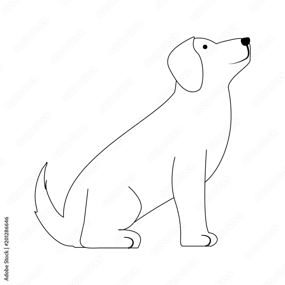 cute dog icon over white background, vector illustration cute dog icon over white background, vector illustration