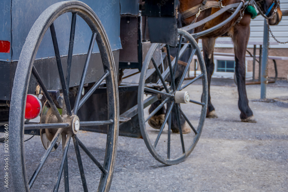 Close up of back view of wheel of Amish buggy with a legs horse parked in a farm
