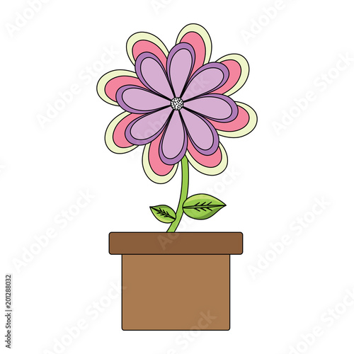 flower plant in a pot over white background  colorful design. vector illustration