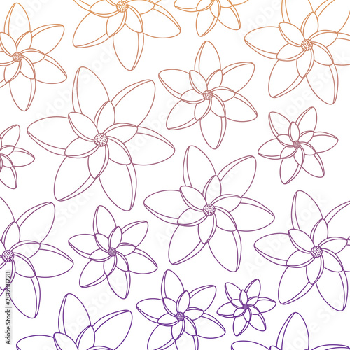 beautiful flowers background  colorful design. vector illustration
