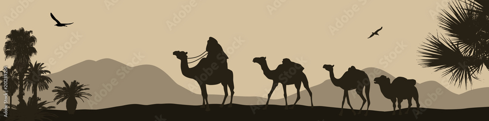Fototapeta Karawana wielbłądów przechodzi przez pustynię