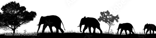 Elephants silhouette and trees in the savannah
