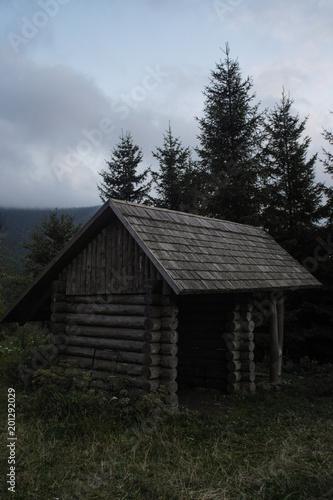 Wallpaper Mural simple wooden cabin used as a hiking shelter, czech republic Torontodigital.ca