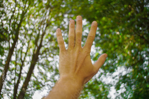 pov male hand detail with summer forest background © listercz