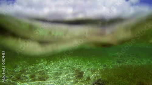 Seychelles Islands. Beautiful view under the water near the shore. photo