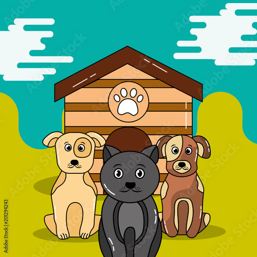 pet cat and dogs waiting sitting outside wooden house vector illustration