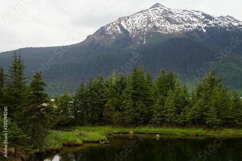 A patch of spruce forest next to the black water with a show capped mountain on the foreground next to Mendenhall glacier, Alaska