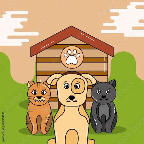 pet dog and cats waiting sitting outside wooden house vector illustration