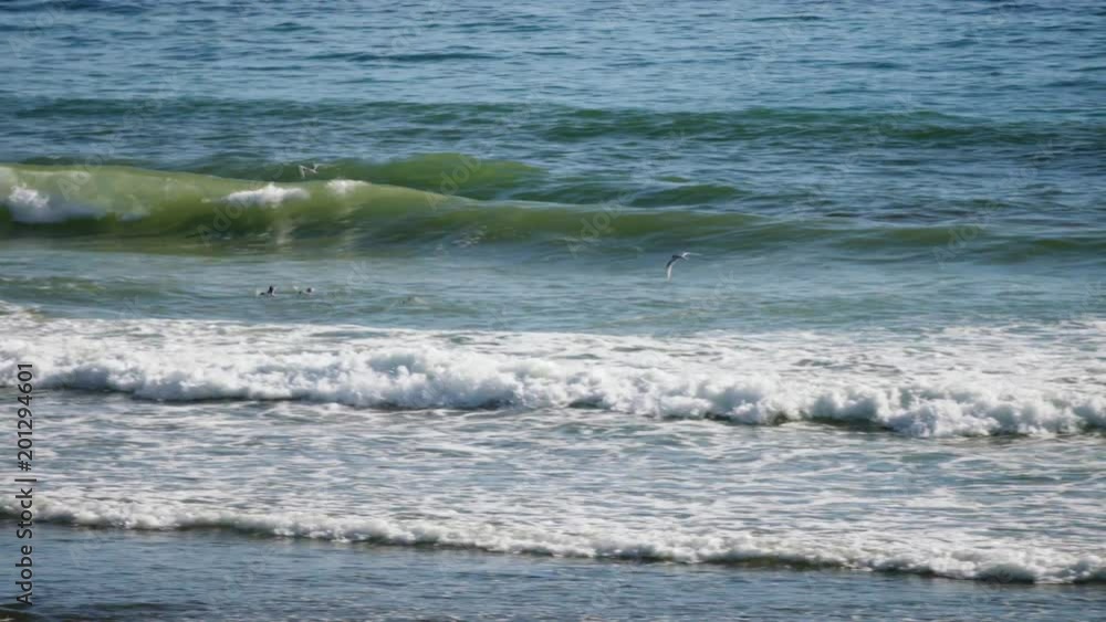 Slow motion seagulls flying over breaking waves Slow motion seagulls flying over breaking waves