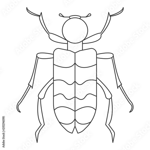 Beetle icon. Simple element illustration. Beetle symbol design from Insect collection set. Can be used in web and mobile photo