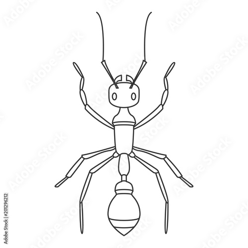 Spider icon. Simple element illustration. Spider symbol design from Insect collection set. Can be used in web and mobile