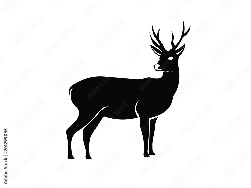 Obraz premium Deer Illustration