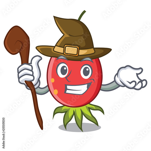 Witch rosehip mascot cartoon style