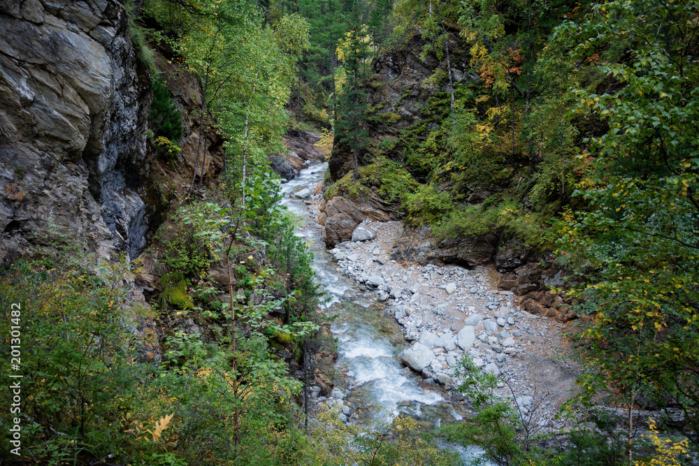 Mountain stream among the mossy stones Mountain stream among the mossy stones