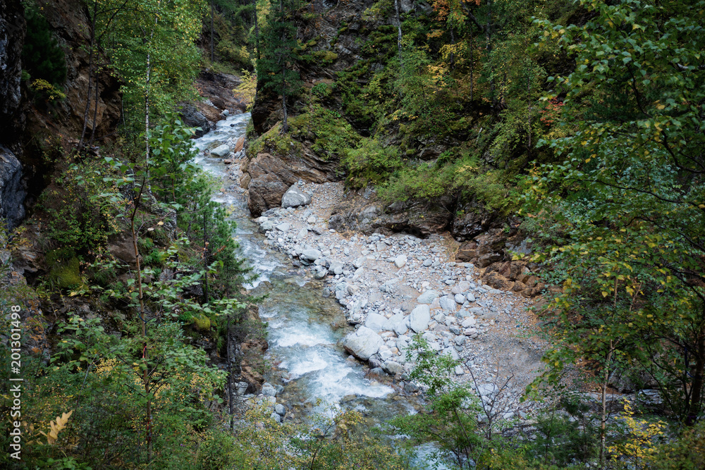 Mountain stream among the mossy stones Mountain stream among the mossy stones