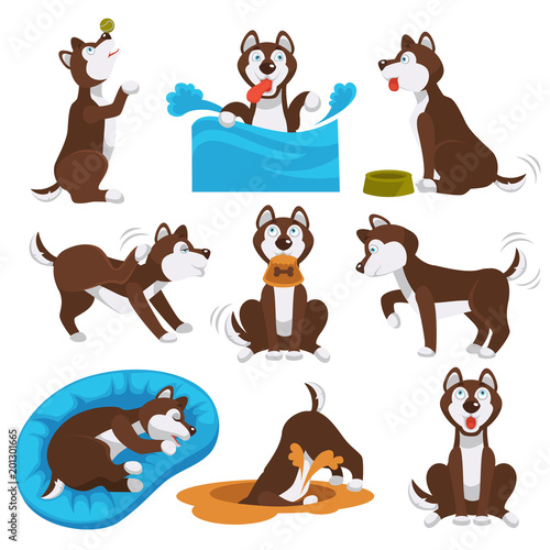 Husky dog cartoon pet playing or training