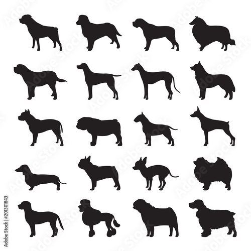 Dog Silhouette Set Vector and Icon For App and Website