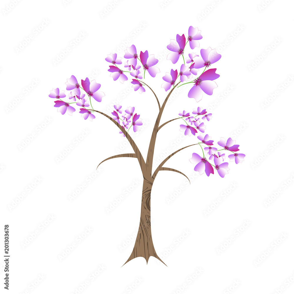 beautiful color tree, isolated on a white