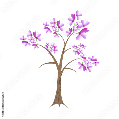 beautiful color tree, isolated on a white © appledd