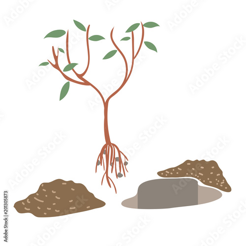 Tree planting flat vector illustration