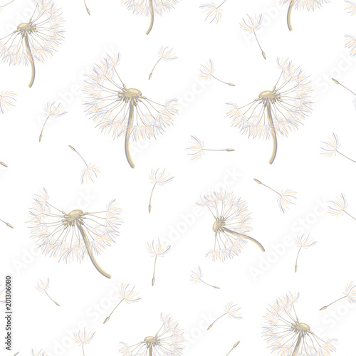 Naklejka Bezszwowy wzór z strzelistymi dandelions