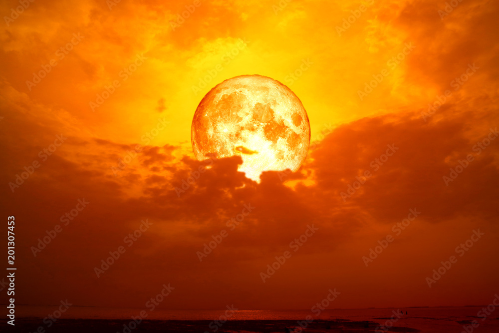 Obraz premium full blood moon back silhouette dark red cloud in sea