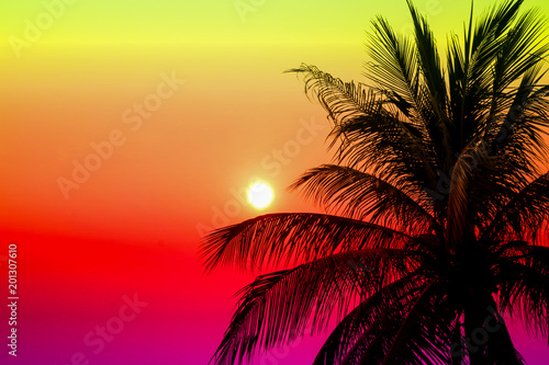 sunset silhouette coconut leaves and colorful sky