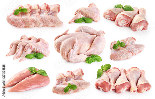 Fresh raw chicken and chicken parts isolated on white background. Breast, wings and legs.