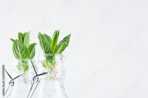 Two transparent bottles closeup with fresh green mint sprigs on white wood board. Spring background, copy space.