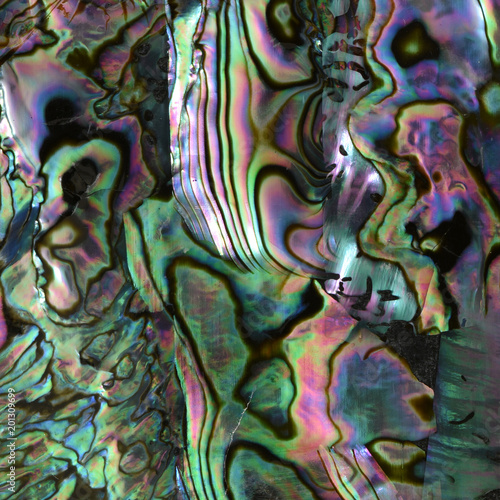 beautiful background of macro shot of abalone or mother of pearl shell veneer photo