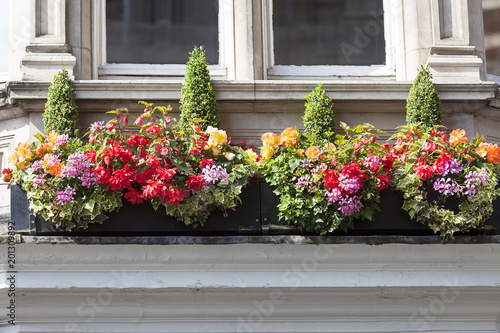 Window decorated with flowers, decorative greenery, typical view of the London street, London, United Kingdom.