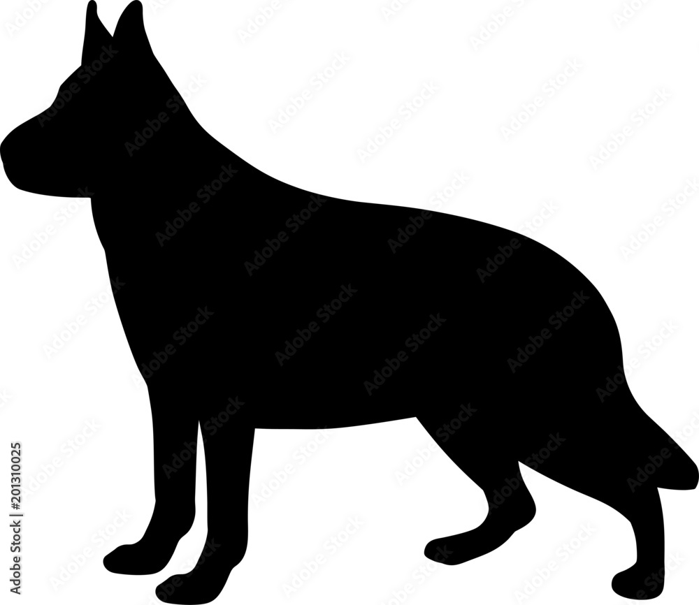 German Shepherd Alsatian Dog