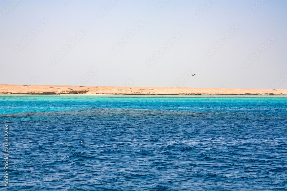Fototapeta premium Vacation on Red Sea, Mahmya