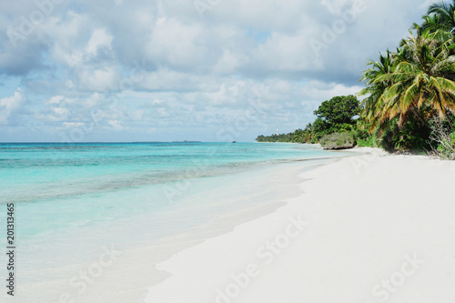 Paradise beach with palm trees and ocean on an island