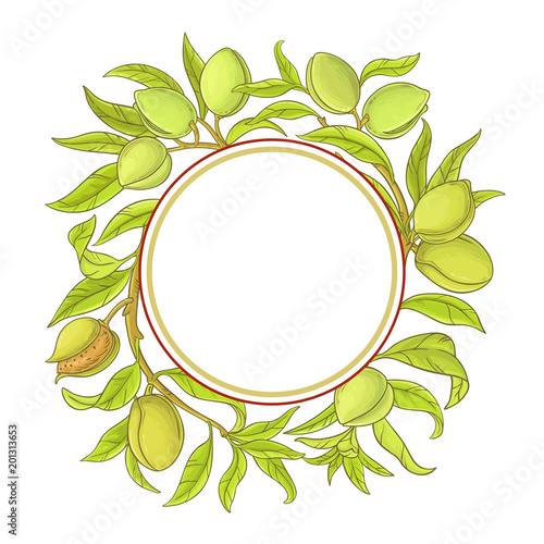 almond vector frame