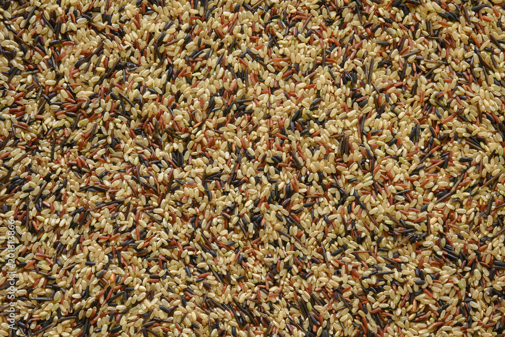 Background of a medley of rices, including, brown, white, short and long grain and wild rice. Background of a medley of rices, including, brown, white, short and long grain and wild rice.