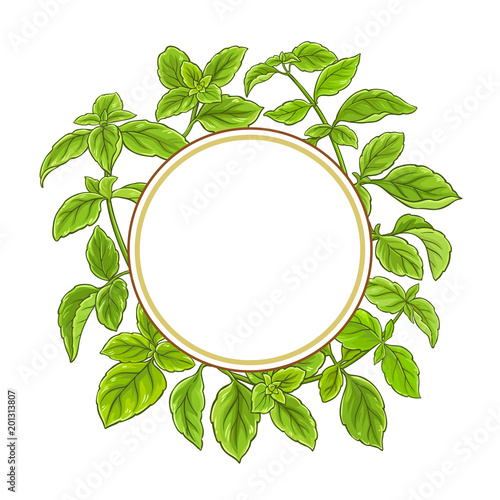 basil plant vector frame