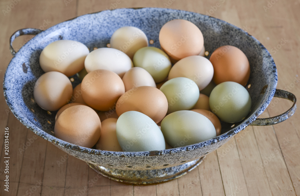 Organic free range chicken eggs in original pastel colours in blue enamel bowl Organic free range chicken eggs in original pastel colours in blue enamel bowl