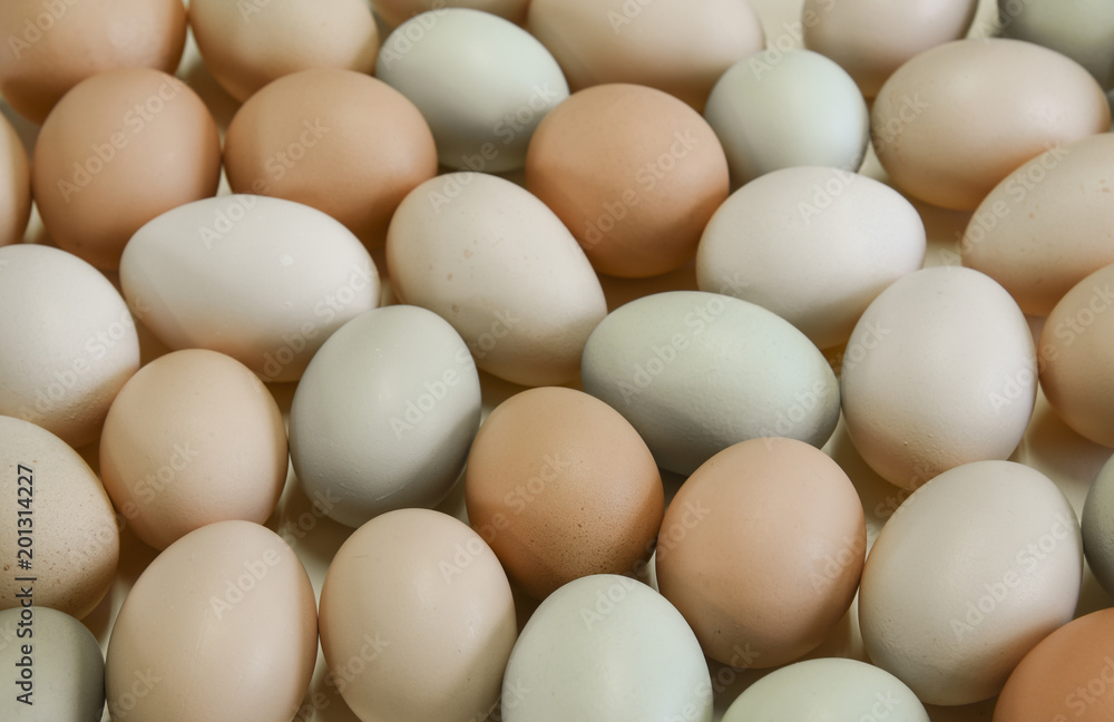 Organic free range chicken eggs in original pastel colours Organic free range chicken eggs in original pastel colours
