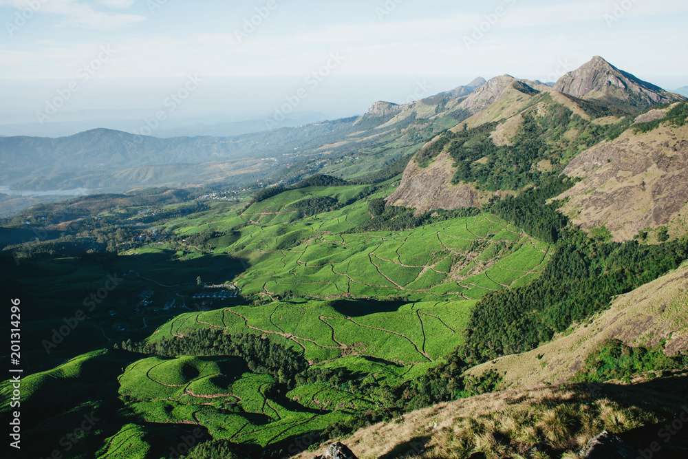 Green hills of tea plantations in the mountains, view from above. India, Munnar