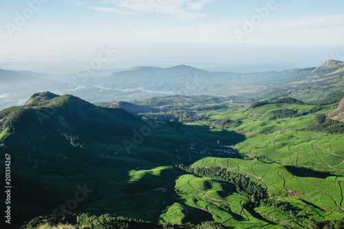 Green hills of tea plantations in the mountains, view from above. India, Munnar